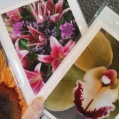 Floral Gift Cards